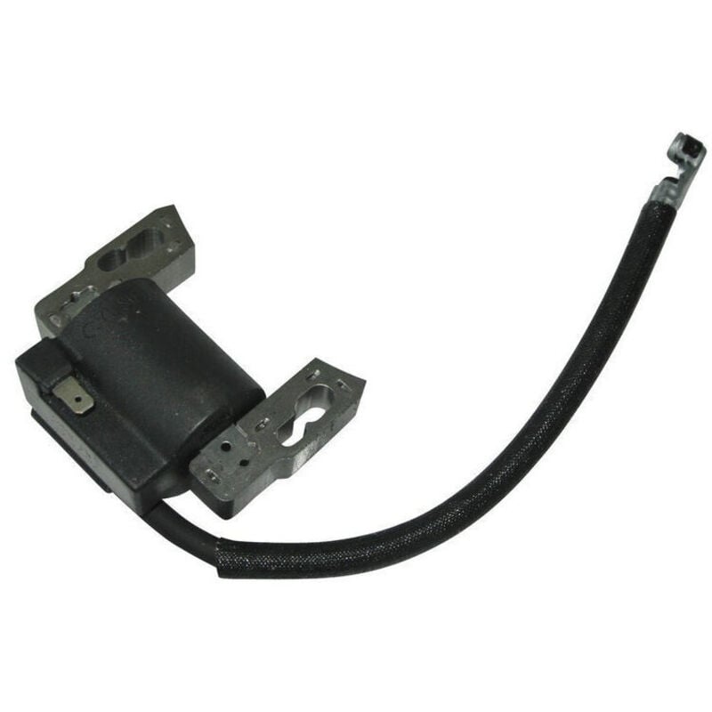 foto del prodotto 797040 bobina di accensione ad alta tensione compatibile con serie 700, 750ex, dov inossidabile adattabile