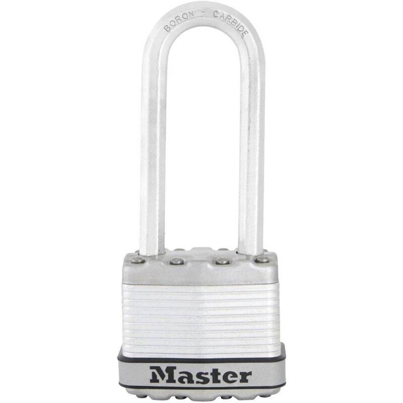 foto del prodotto 79961 lucchetto argento master lock