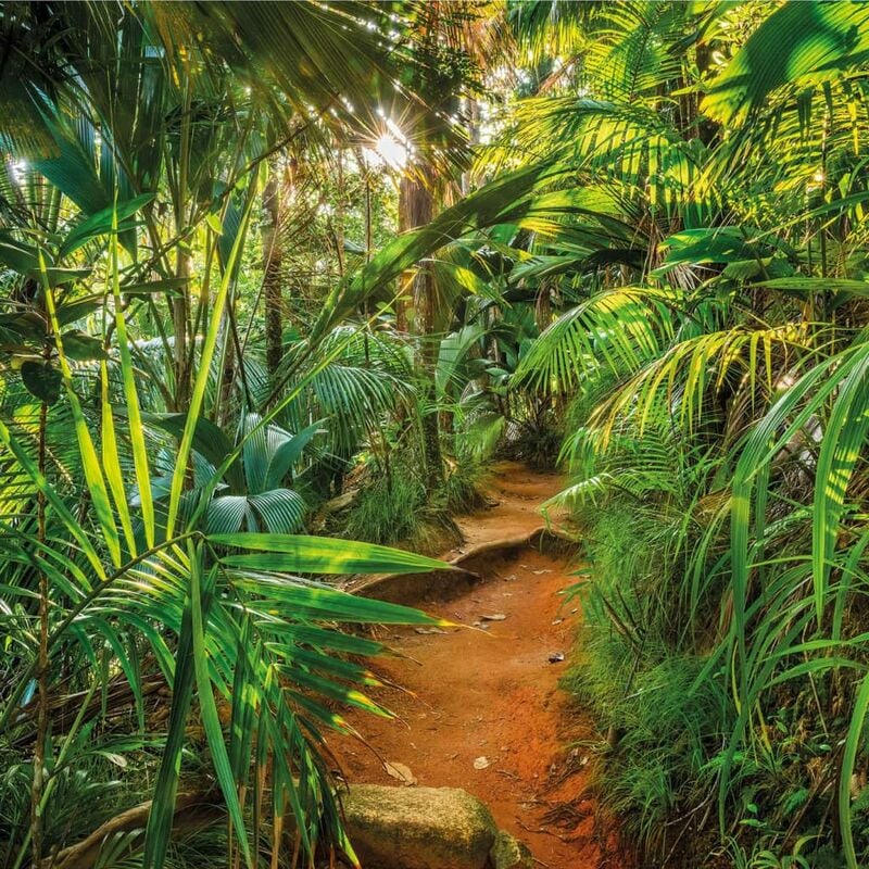foto del prodotto 8 989 carta da parati jungle trail, dimensioni 368 x 254 cm larghezza x altezza , 8 pezzi e colla, made in germany, bunt komar
