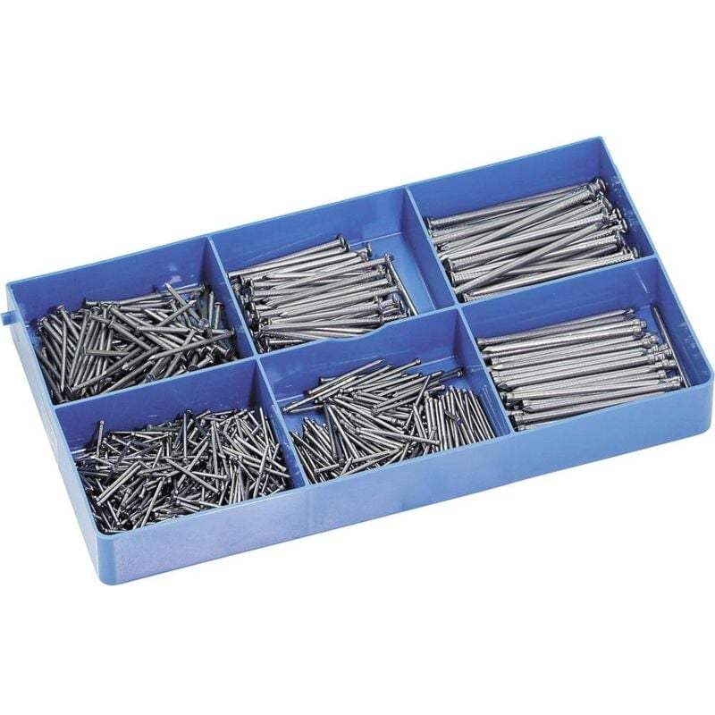 foto del prodotto 826336 assortimento di chiodi contenuto 650 pz.