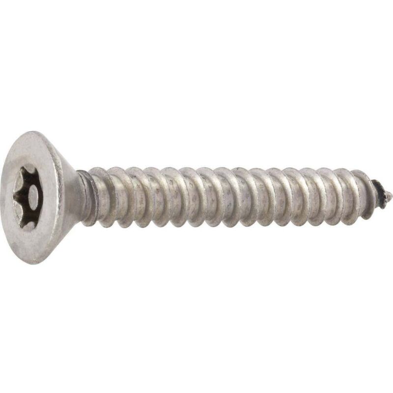 foto del prodotto 88115 4.8 viti a testa svasata per lamiera 4.8 mm 38 mm t tamper resistant acciaio inox 10 pz. toolcraft
