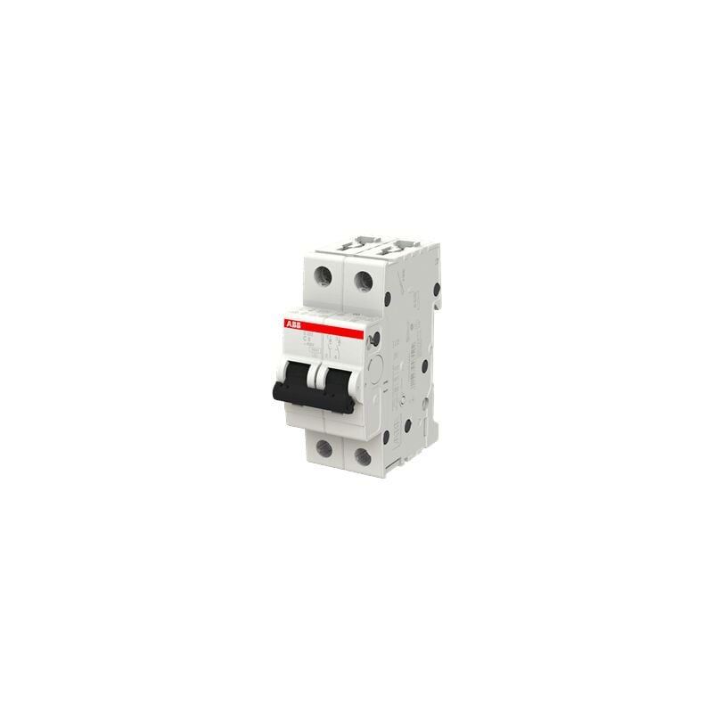 foto del prodotto abb s465502 magnetotermico 2p c6 6000a