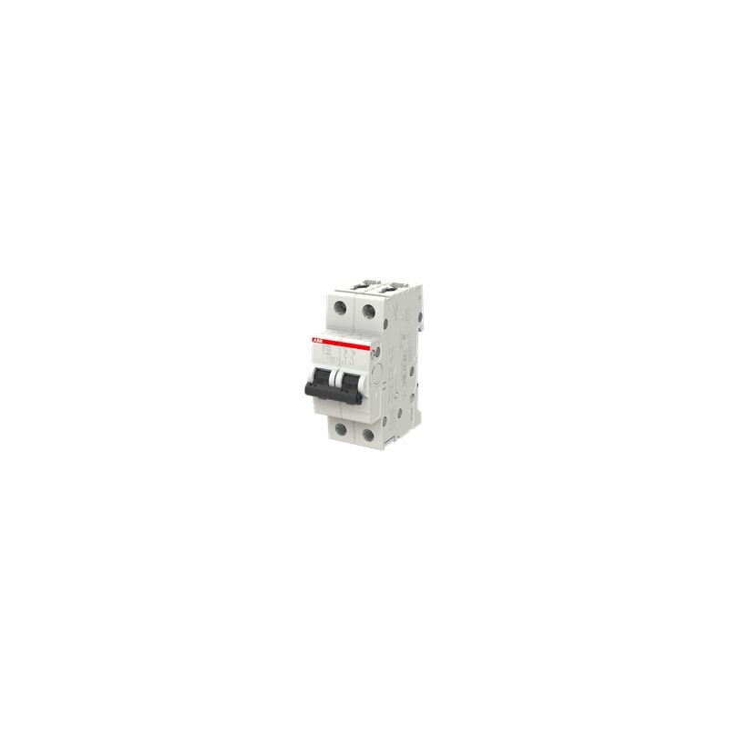 foto del prodotto abb s465700 interruttore magnetotermico 2p c10 6000a