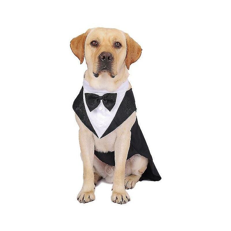 foto del prodotto abito per cani abito per animali abito per cani tuxedo abito per feste di matrimonio xxl 