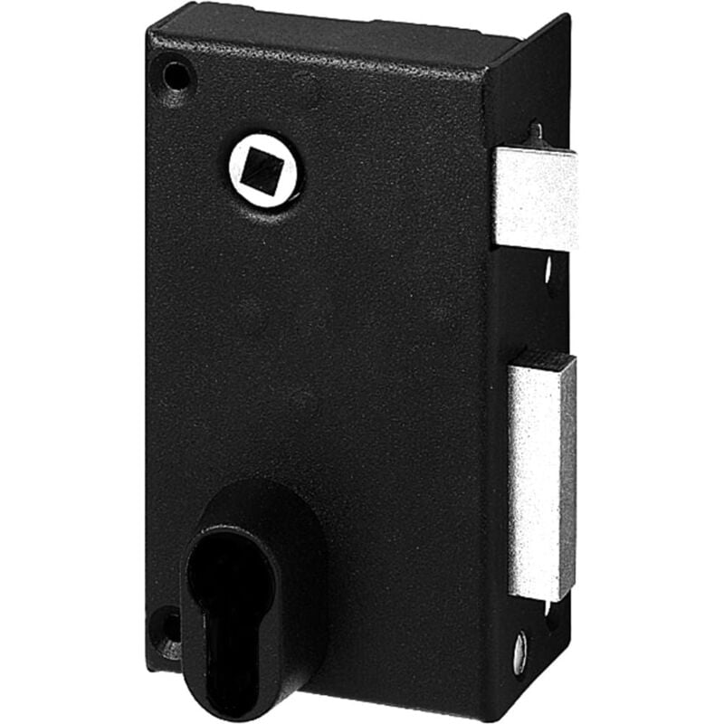 foto del prodotto abus coperchio lucchetto fe9814102a sa v ce d 70 x 120 mm consegnato senza lucchetto 