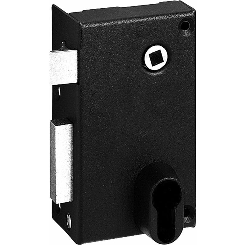 foto del prodotto abus fe9814202a sa v ce g serratura a parete con maniglia serratura verticale con serratura a chiave per apertura esterna sinistra 70 x 120 mm, nera
