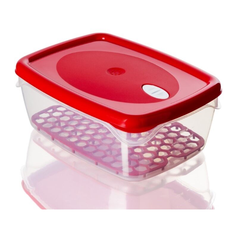 foto del prodotto ac deco contenitore per alimenti plastica griglia coperchio freska grill 5 litri bama