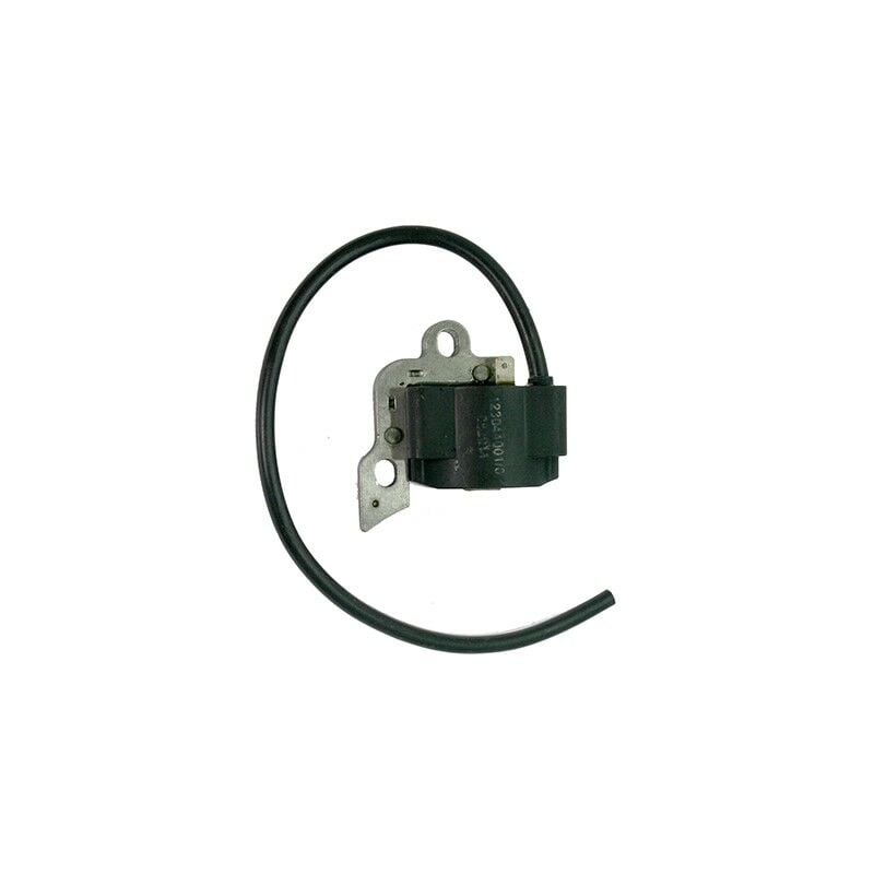 foto del prodotto accensione elettronica decespugliatore alpina star 45, 55 originale