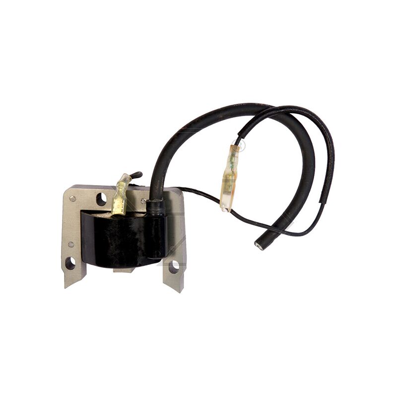 foto del prodotto accensione elettronica decespugliatore zenoah g3k compatibile