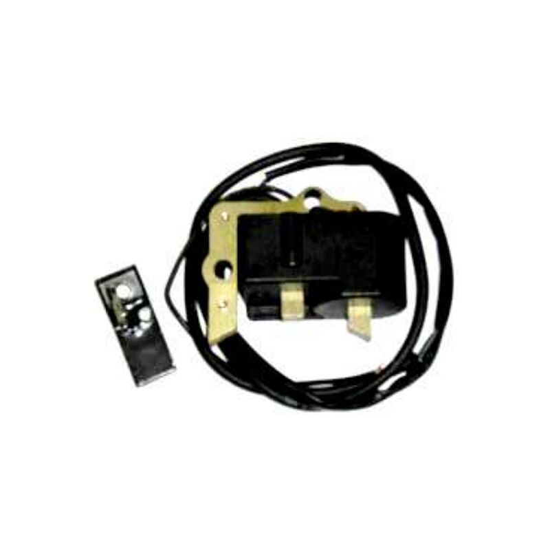 foto del prodotto accensione elettronica motore beta b210 compatibile