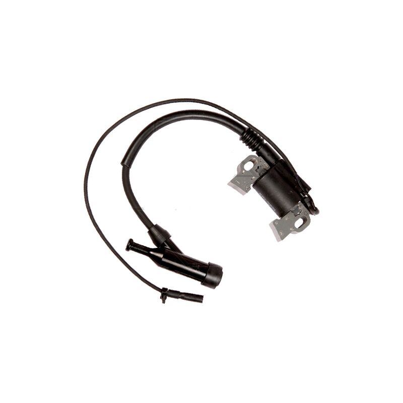 foto del prodotto accensione elettronica motore honda gx270 compatibile