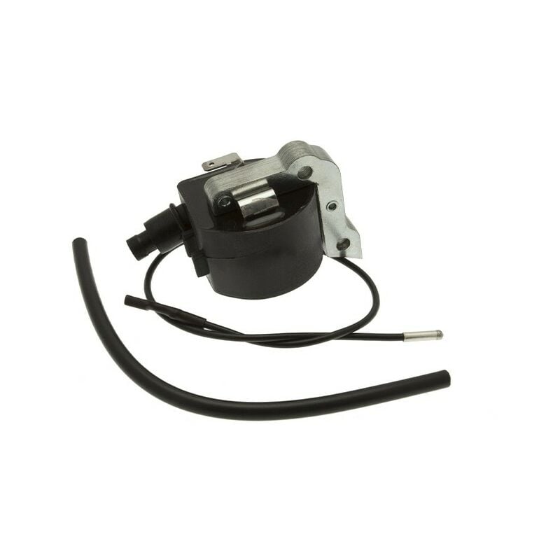 foto del prodotto accensione elettronica motosega dolmar makita 112, 113, 144 compatibile