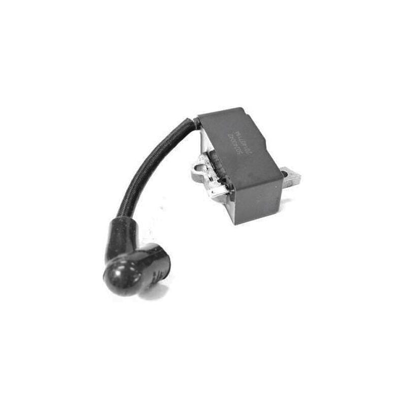 foto del prodotto accensione elettronica motosega oleomac, efco compatibile