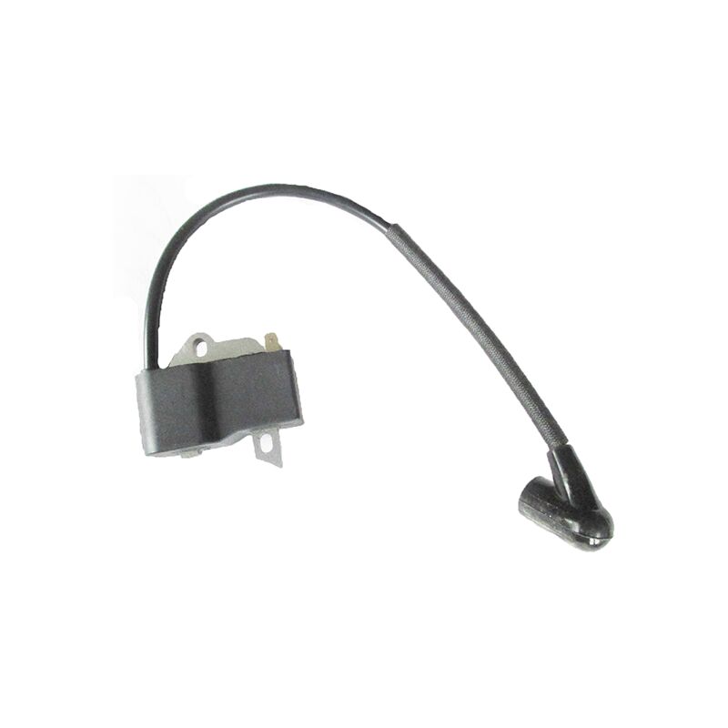 foto del prodotto accensione elettronica motosega oleomac, efco vari modelli compatibile