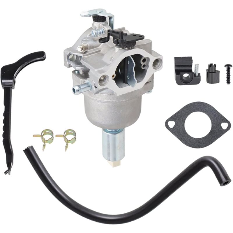 foto del prodotto accessori carburatore briggs stratton 799727 698620 791886 690194 applicabili
