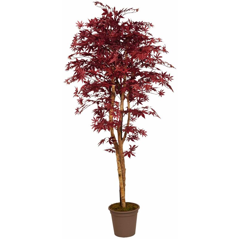 foto del prodotto acero luxe seminaturale • rosso • tronco mansanisi - 350