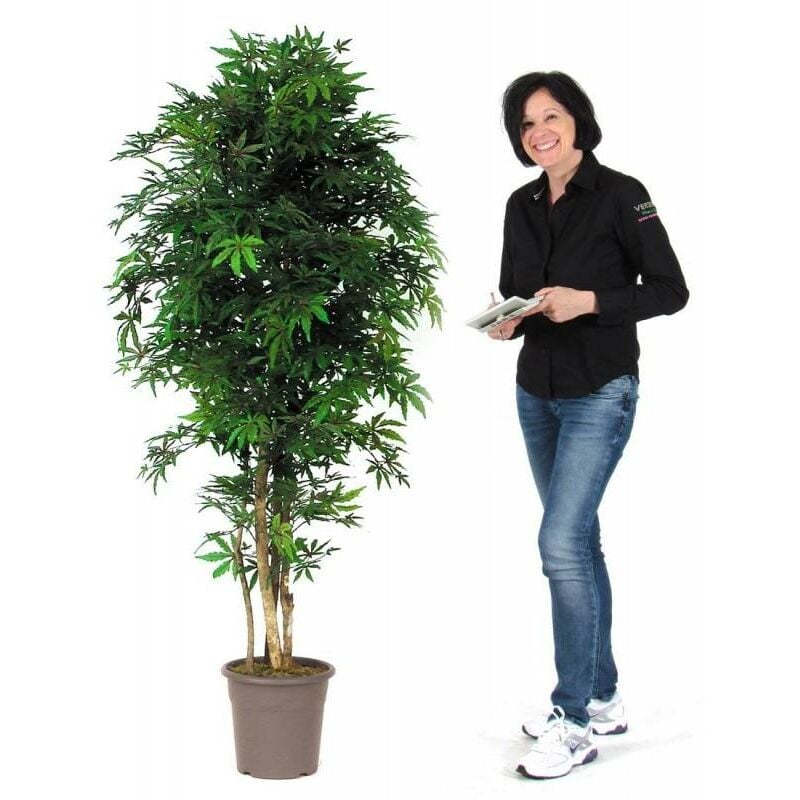foto del prodotto acero seminaturale • verde • tronco mansanisi