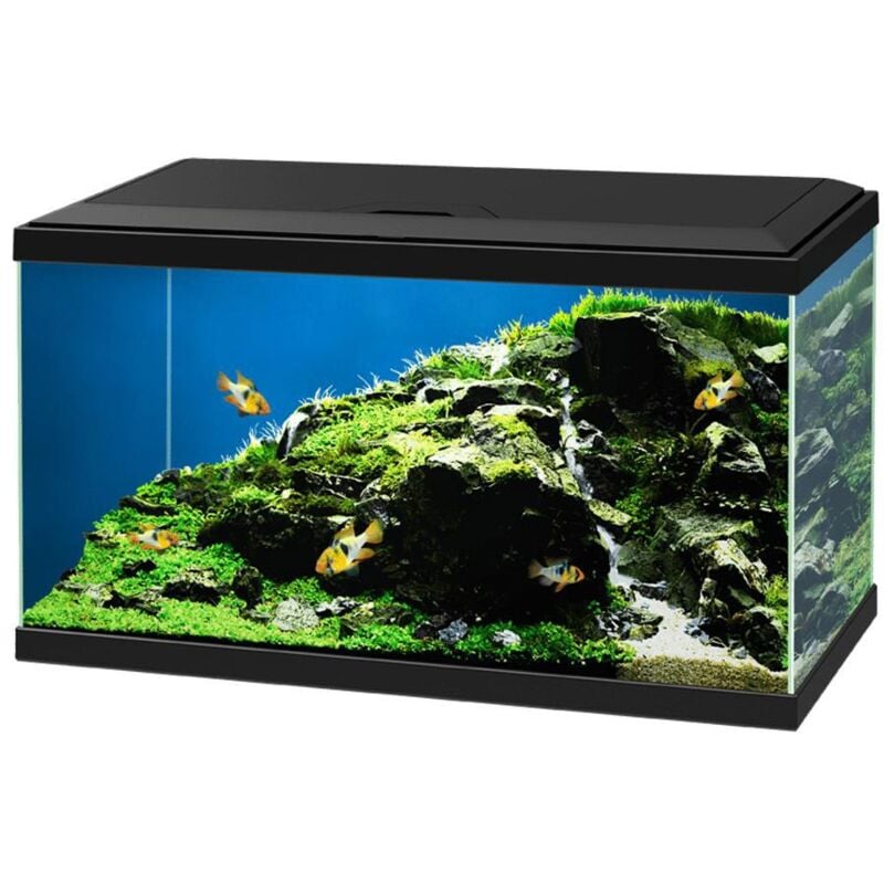 foto del prodotto acquario aqua 60 led cm60x30x32h colore nero ciano
