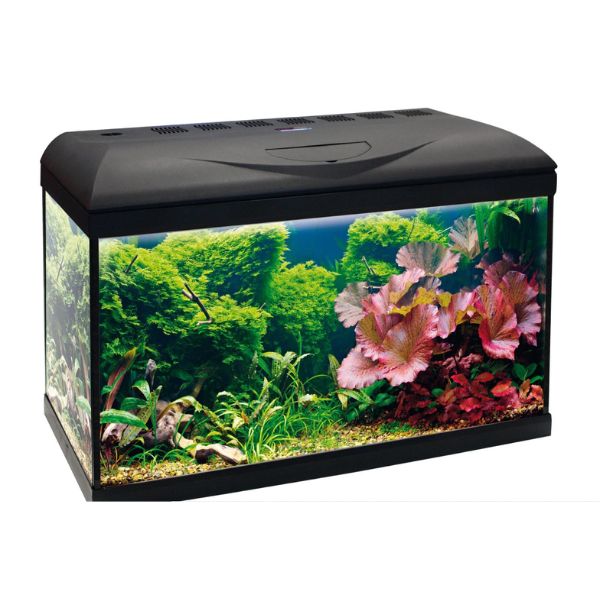 foto del prodotto acquario basic led amtra 80 1 ordine scegli lo sconto bzr5 bzr20 200 punti fedelt 