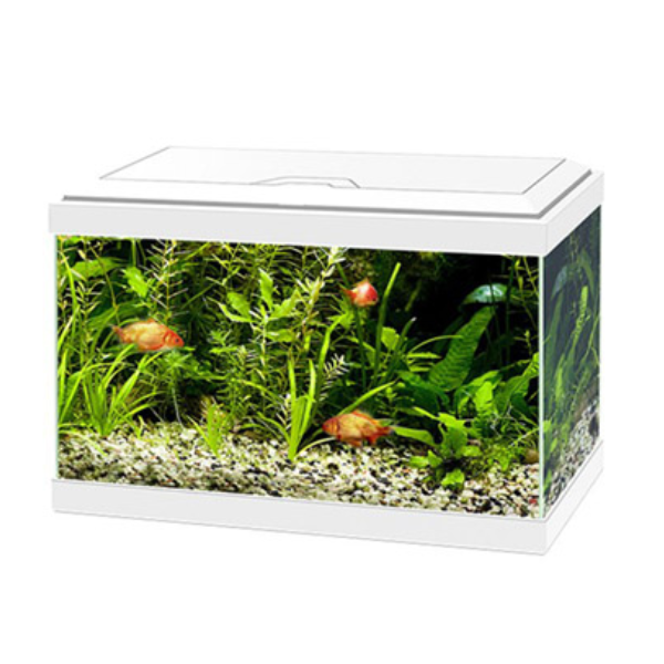 foto del prodotto acquario ciano aqua light 20 askoll - bianco - 40 x 20 x 31,3 - 1 ordine scegli lo sconto bzr5 bzr20 200 punti fedeltà