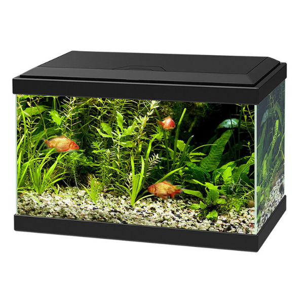 foto del prodotto acquario ciano aqua light 20 askoll nero 40 x 20 x 31,3 1 ordine scegli lo sconto bzr5 bzr20 200 punti fedelt 