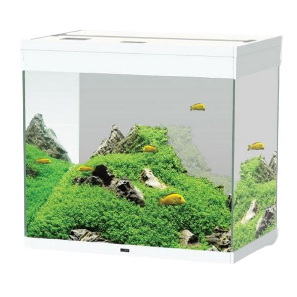 foto del prodotto acquario ciano emotions nature pro 60 askoll bianco 61,2 x 40,2 x h 56 1 ordine scegli lo sconto bzr5 bzr20 200 punti fedelt 