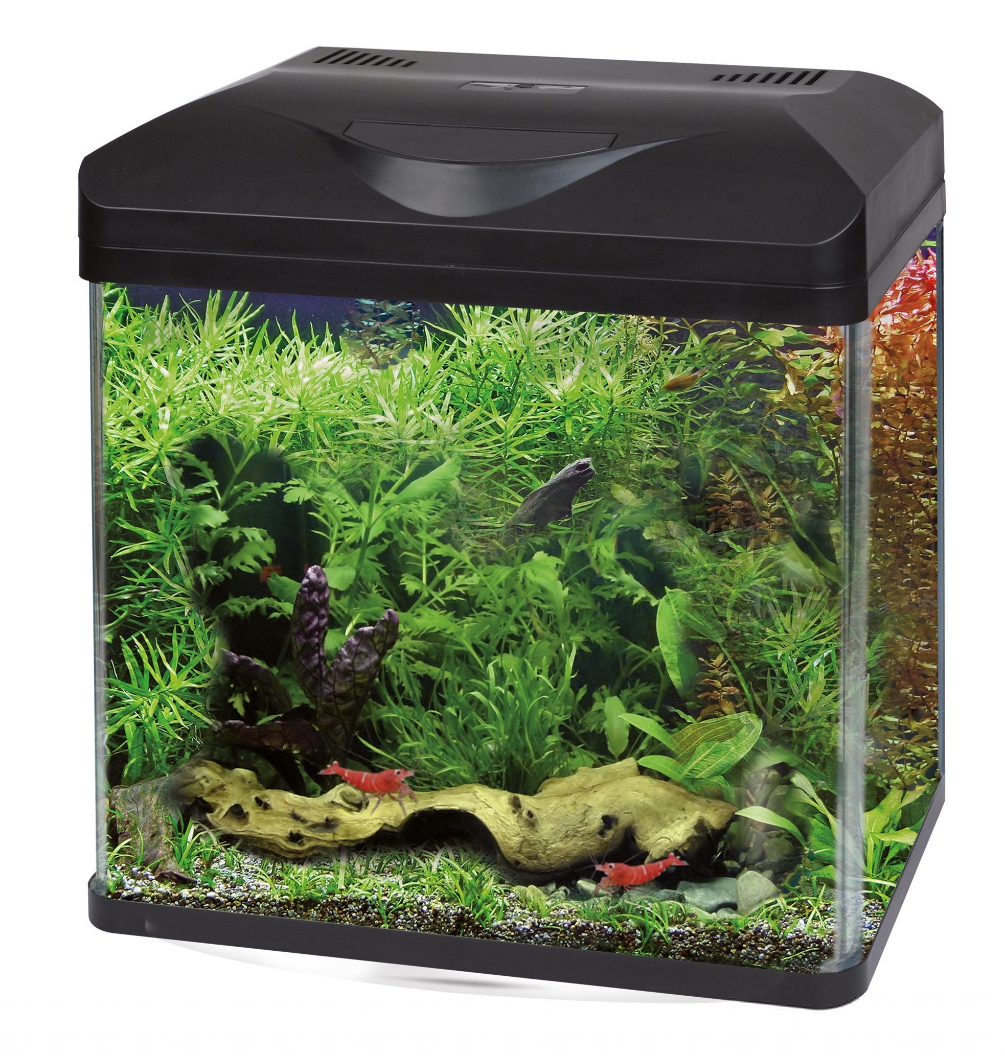 foto del prodotto acquario d acqua dolce laguna led amtra 50 1 ordine scegli lo sconto bzr5 bzr20 200 punti fedelt 