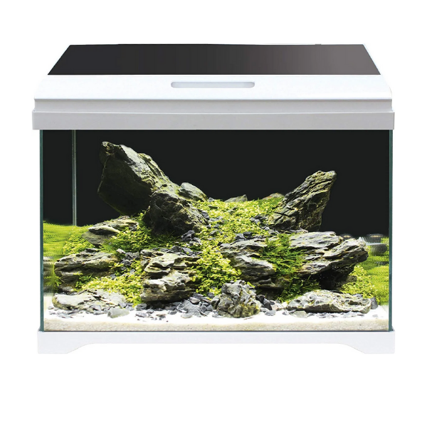 foto del prodotto acquario modern tank amtra 40 led 1 ordine scegli lo sconto bzr5 bzr20 200 punti fedelt 