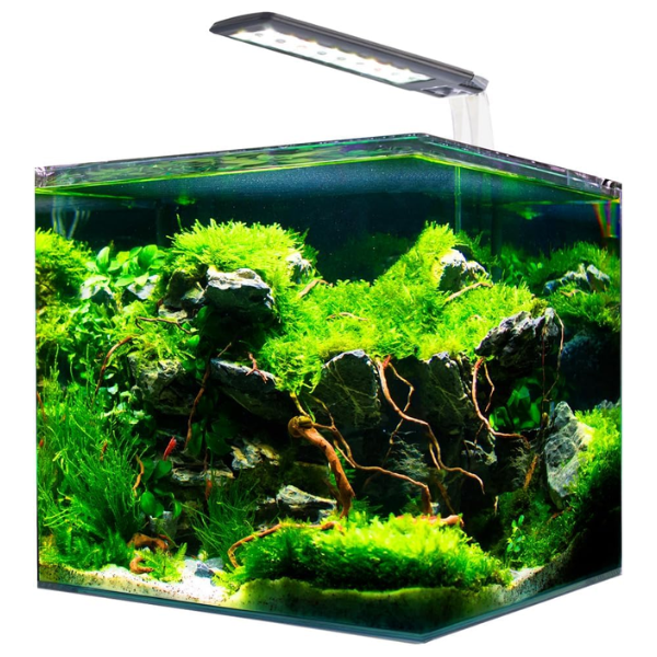 foto del prodotto acquario nanotank cubo system amtra 25 x 25 x 30 1 ordine scegli lo sconto bzr5 bzr20 200 punti fedelt 