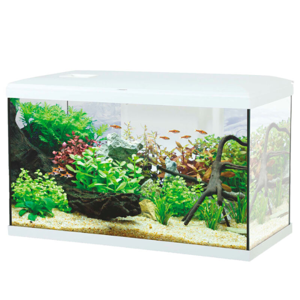 foto del prodotto acquario ocean modello 60 aqualovers bianco capacit 57 litri 1 ordine scegli lo sconto bzr5 bzr20 200 punti fedelt 