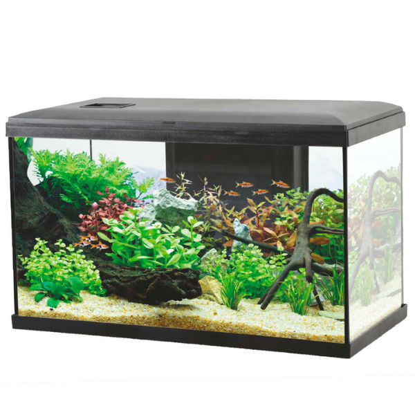 foto del prodotto acquario ocean modello 60 aqualovers nero capacit 57 litri 1 ordine scegli lo sconto bzr5 bzr20 200 punti fedelt 