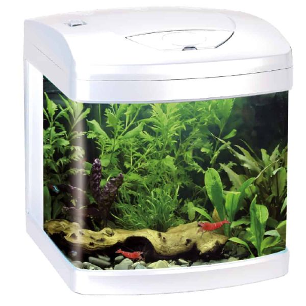 foto del prodotto acquario xcube 26 led amtra bianco 1 ordine scegli lo sconto bzr5 bzr20 200 punti fedelt 