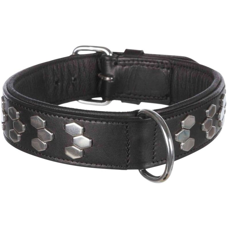 foto del prodotto active collare con applicazioni nero xl 65 75cm 40mm