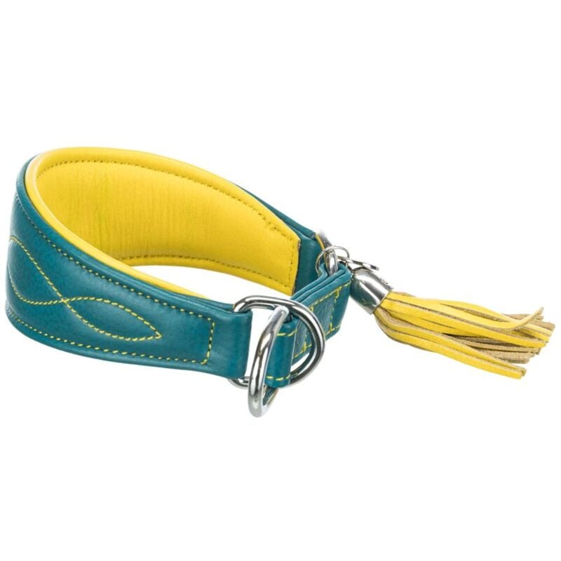 foto del prodotto active comfort collare strangolo per levrieri xs s 24 31cm 50mm petrolio giallo