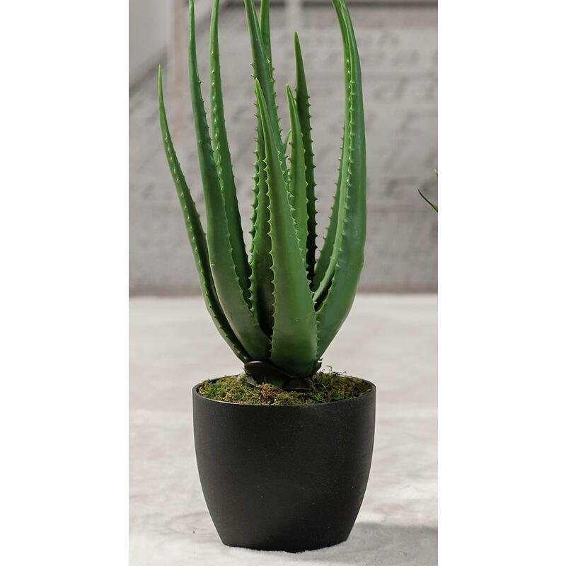 foto del prodotto ad trend - aloe in vaso per decorazione h.55