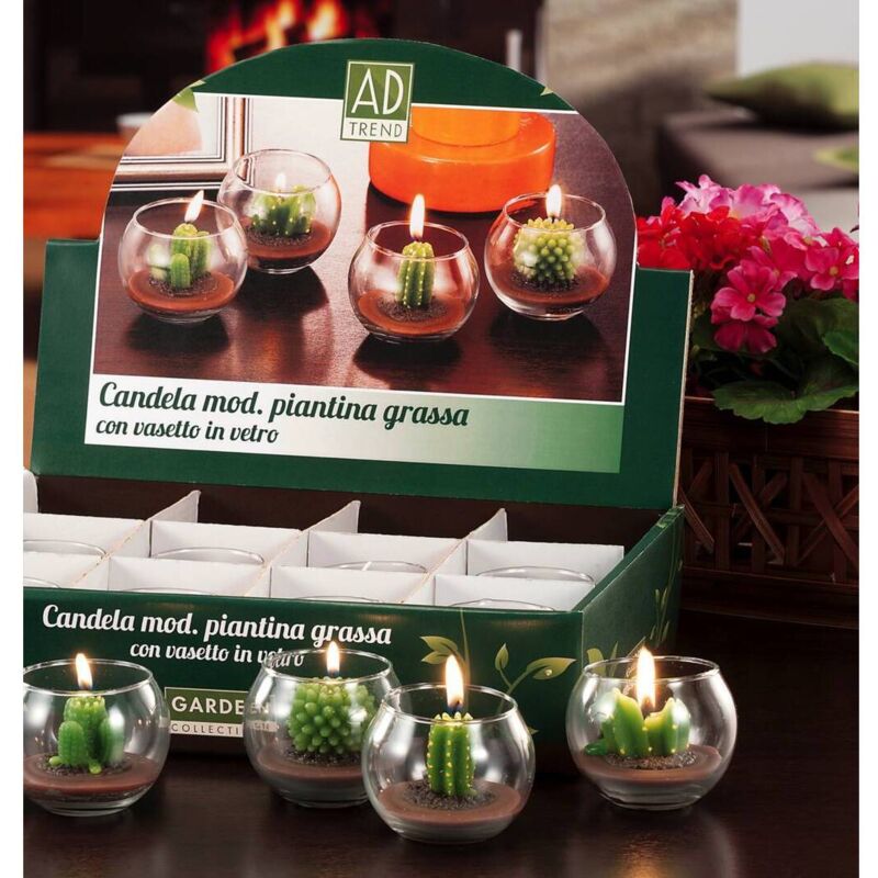 foto del prodotto ad trend candela piantina grassa d.5xh7cm in 4modelli