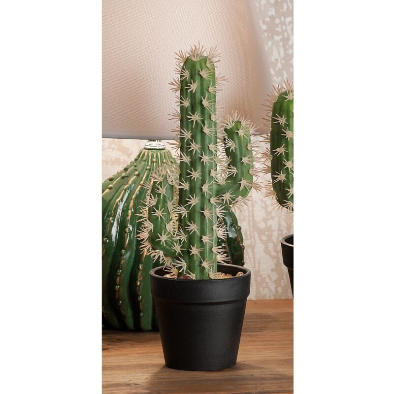 foto del prodotto ad trend vaso c cactus x decor diam11xh27,5