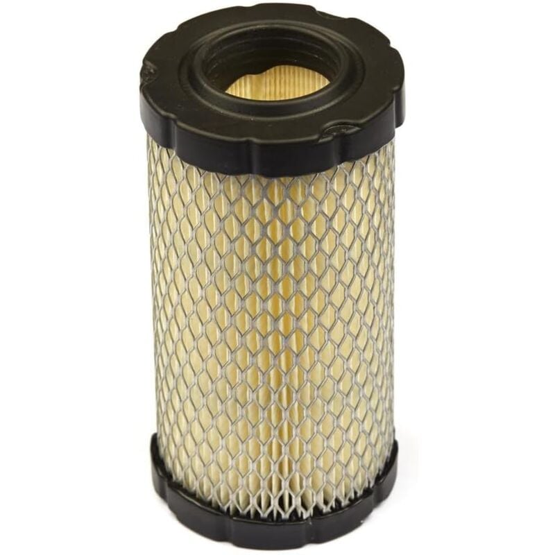 foto del prodotto adatto per filtro aria briggs and stratton 796031
