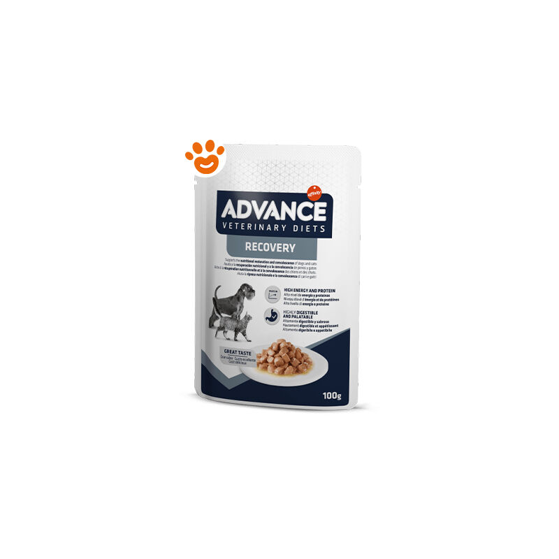 foto del prodotto advance veterinary diets recovery mini umido per cani e gatti 11 x 100 g
