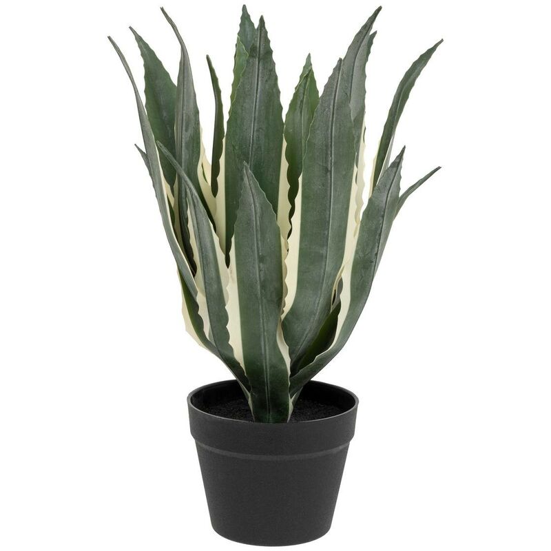 foto del prodotto agave artificiale h55cm verde atmosphera cr ateur d int rieur