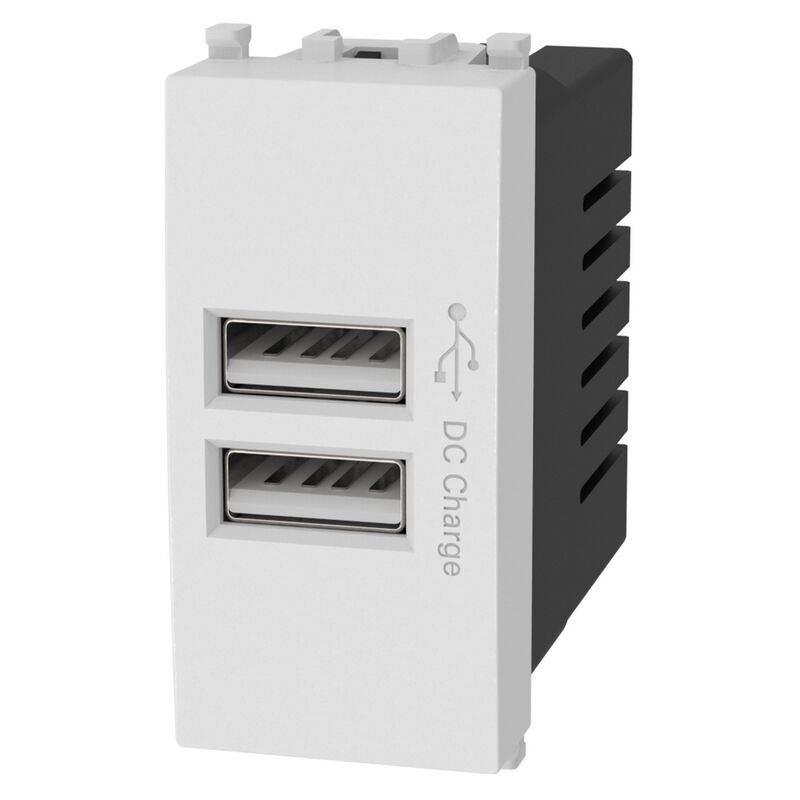 foto del prodotto aigostar presa usb a 2 posti bianca compatibile anche con vimar plana