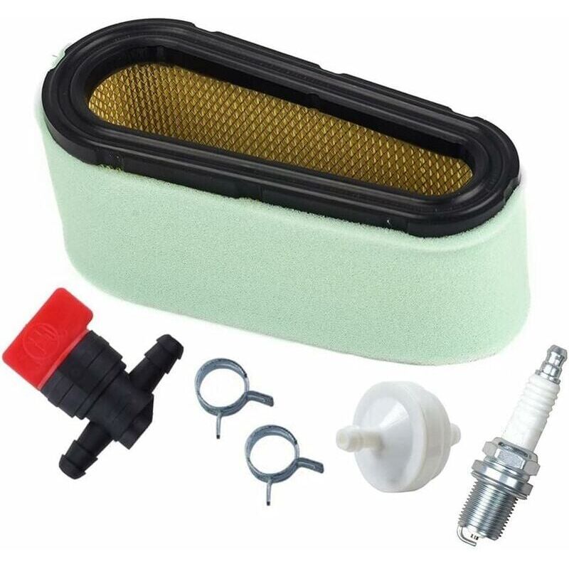 foto del prodotto aiperq 496894 kit filtro aria e prefiltro per tosaerba briggs stratton 12,5 17 hp 494768