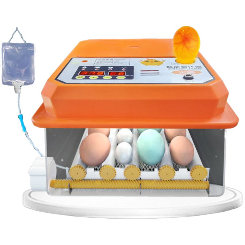 foto del prodotto aiperq incubatrice per uova automatica, girauova automatica, regolatore di polli per la casa, incubatrice per uova da fattoria da 16 uova