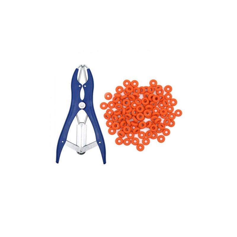 foto del prodotto aiperq pinza per castrazione elastica in acciaio inossidabile per bovini, suini, ovini, cintura 100 anelli in gomma 21,5 cm blu