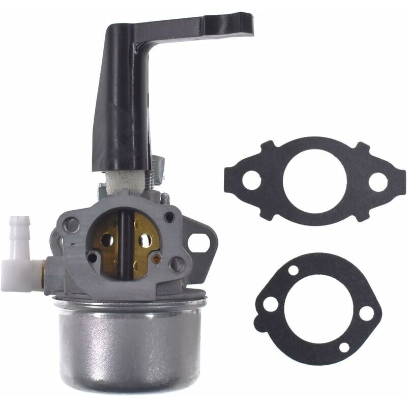 foto del prodotto aiperq ymyny 696065 carburatore di ricambio con kit guarnizioni per briggs stratton