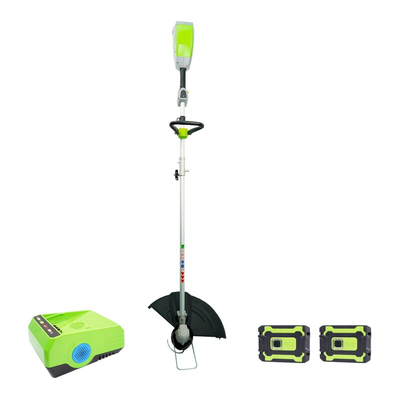 foto del prodotto akita decesplugiatore batteria 60v 2 batteria caricabatterie