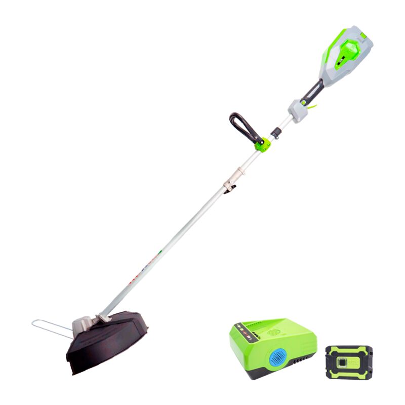 foto del prodotto akita decesplugiatore batteria 60v batteria caricabatteria