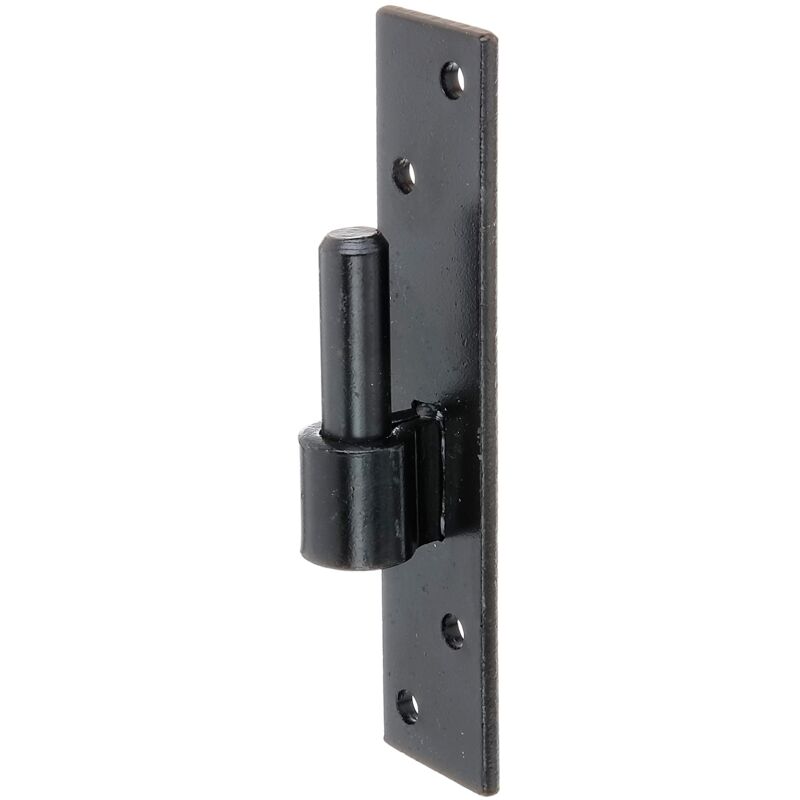 foto del prodotto alberts 306694 cardine su piastra, acciaio, dorn 16 mm 180 x 40 mm