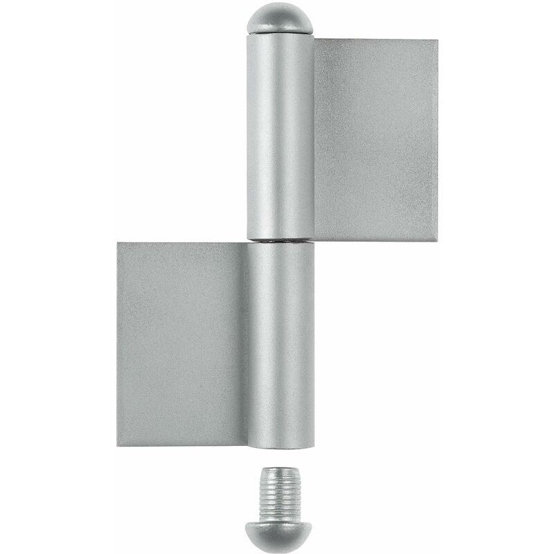 foto del prodotto alberts 414306 cerniera per cancelli metallici, acciaio, 9 mm, h he 80 mm