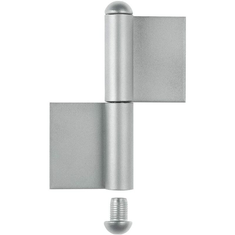 foto del prodotto alberts 414320 cerniera per cancelli metallici, acciaio, 9 mm, h he 120 mm